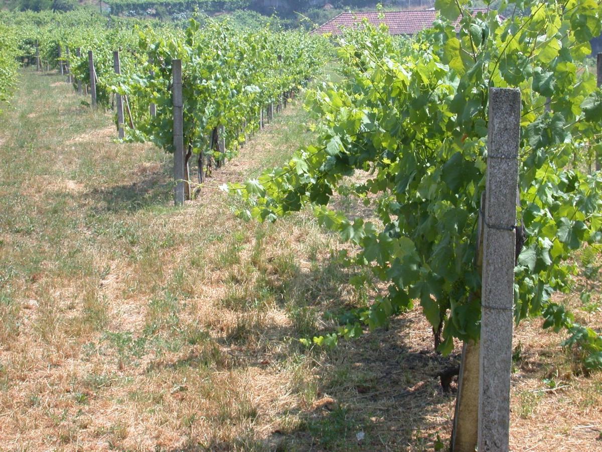 Вілла Quinta Da Tapada Лозада Екстер'єр фото